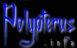 Polypterus.info logo
